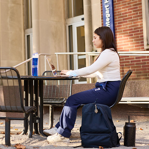 A student studying on a laptop. Links to Gifts That Pay You Income